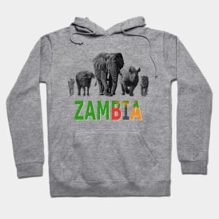 Zambia Wildlife Big Five for Zambia Safari Fans Hoodie